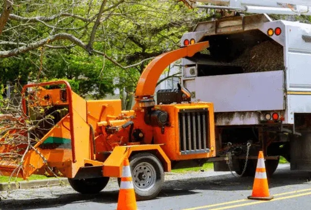 tree removal suffolk ny