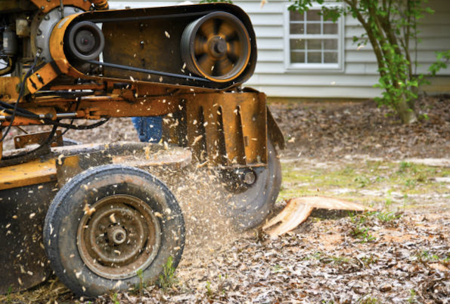 stump grinding suffolk ny